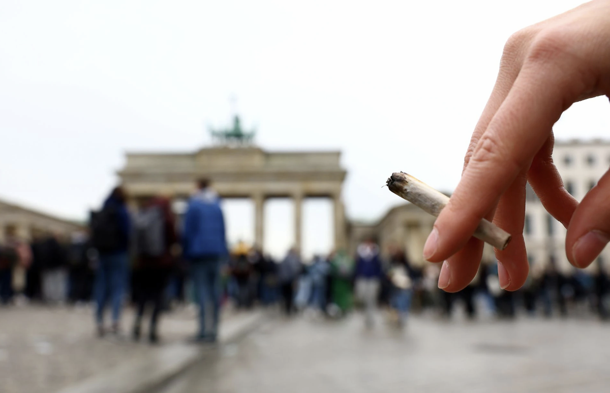 德国将以娱乐目的合法化大麻