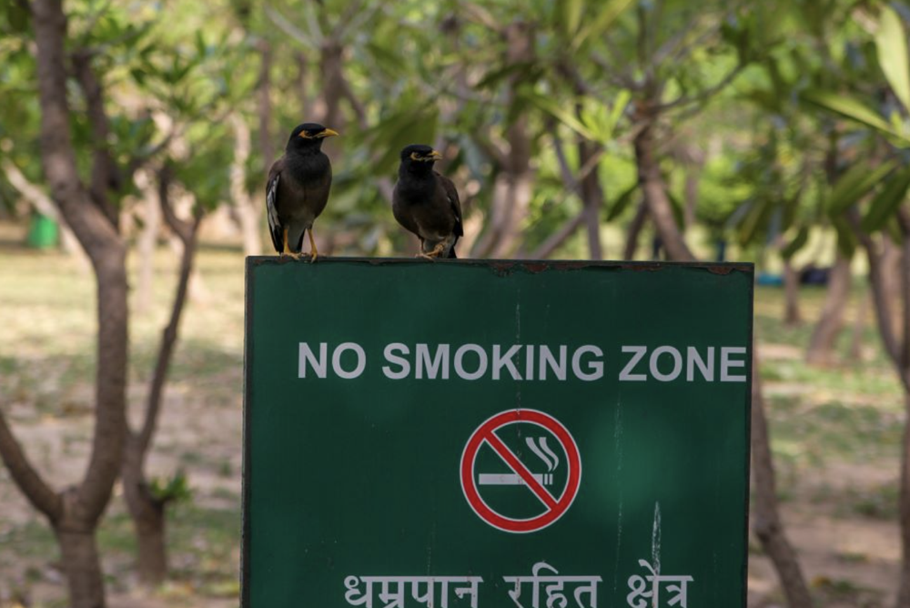 印度即将推出公共场所吸烟投诉APP