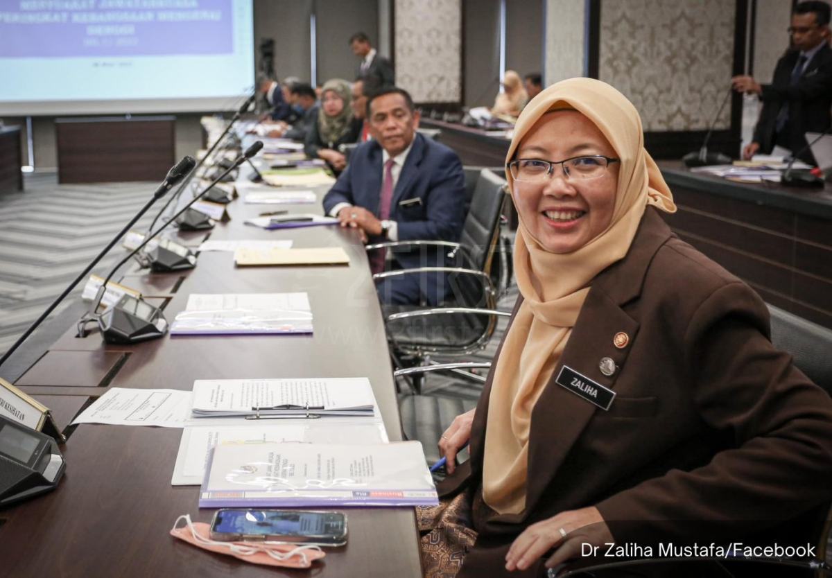 马来西亚电子烟监管法案将于5月提交国会
