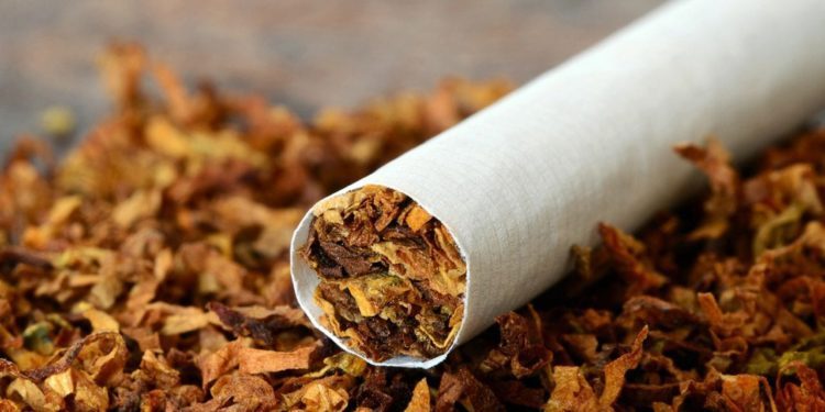 专家呼吁尼日利亚效仿瑞典:采用无烟烟草经济解决卷烟经济损失