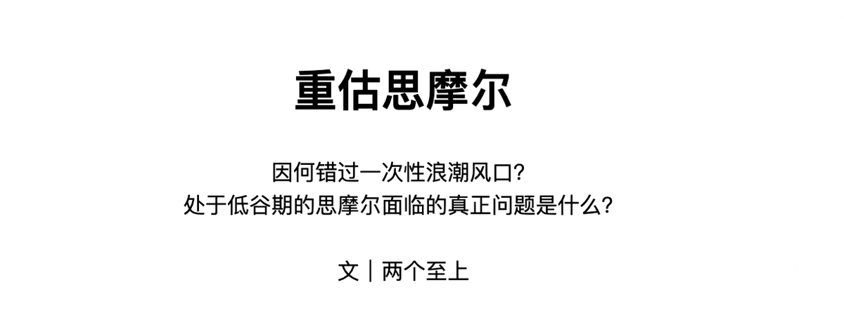 读者评《重估思摩尔：失误，危机与出路》