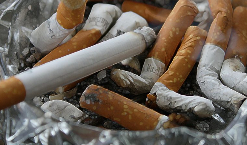巴基斯坦烟假烟泛滥 国库每年损失超3400万美元