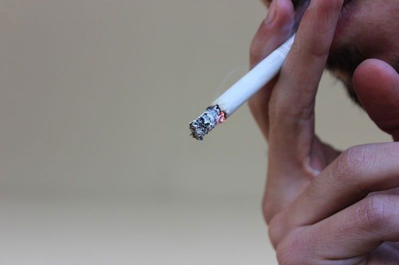 菲莫国际投资菲律宾无烟产品：首次使用本地烟草叶