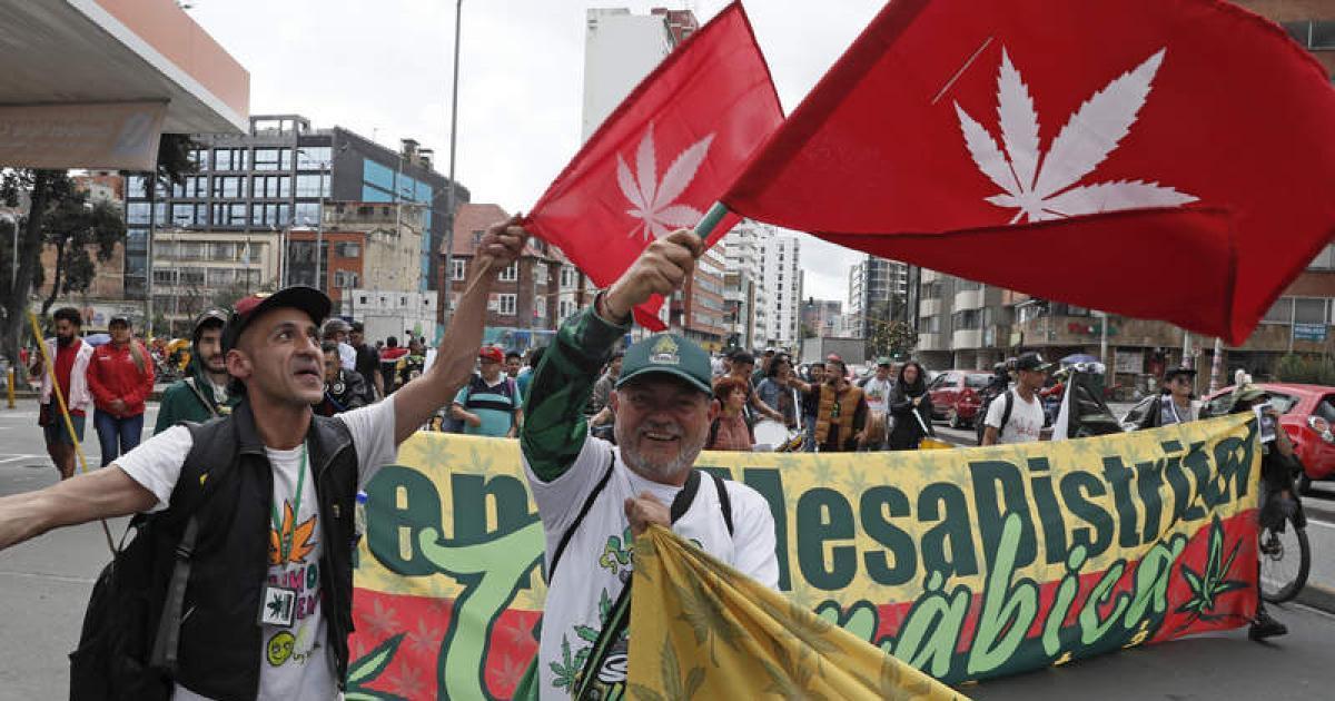 哥伦比亚大麻游行 消费者呼吁解禁大麻