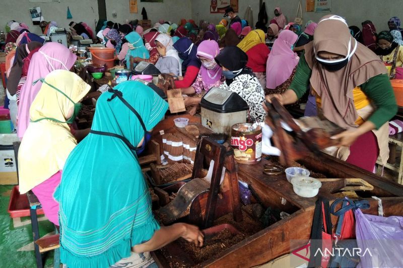 印尼政府拨款1.18亿印尼盾 助力烟农与卷烟工人经济复苏
