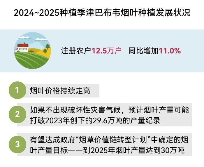 东方烟草报:2024年世界烟草发展报告(中)
