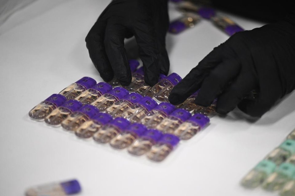 新加坡卫生科学局招聘调查员 专项打击含依托咪酯电子烟